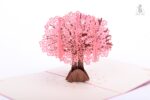 cherry-blossom-tree-pop-up-card-02