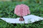 cherry-blossom-tree-pop-up-card-01