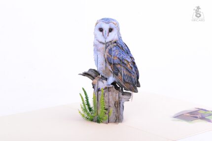 Barn Owl Pop Up Card