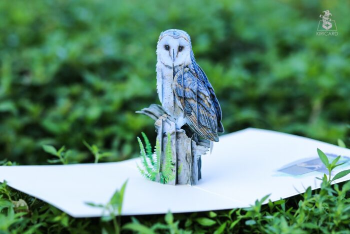 barn-owl-pop-up-card-01