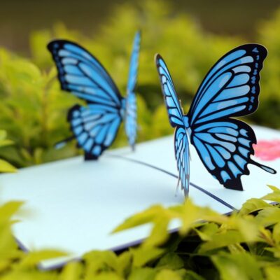 couple-butterflies-pop-up-card-blue-03