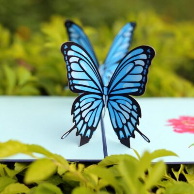 couple-butterflies-pop-up-card-blue-02