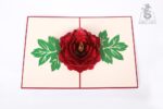 red-rose-bloom-pop-up-card-04