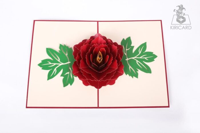 red-rose-bloom-pop-up-card-04