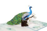 new-peacock-pop-up-card-06