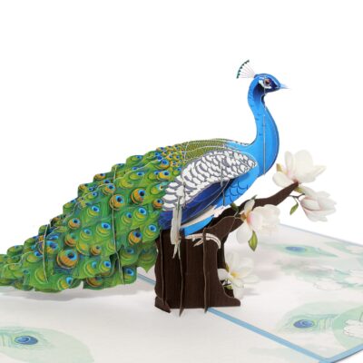 new-peacock-pop-up-card-06