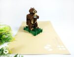 birthday-bear-pop-up-card-01