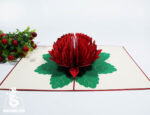 waratah-flower-pop-up-card-04