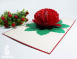 waratah-flower-pop-up-card-03