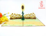 sunflower-pop-up-card-03