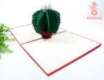 cactus-pop-up-card-03