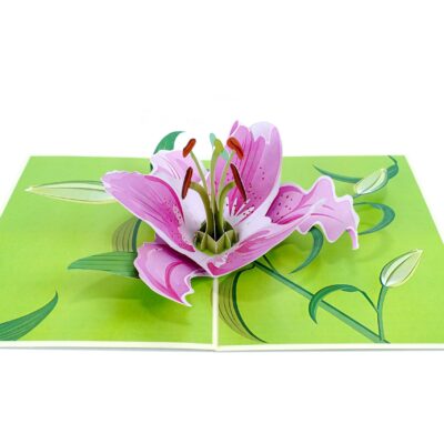 lily-bloom-pop-up-card-08