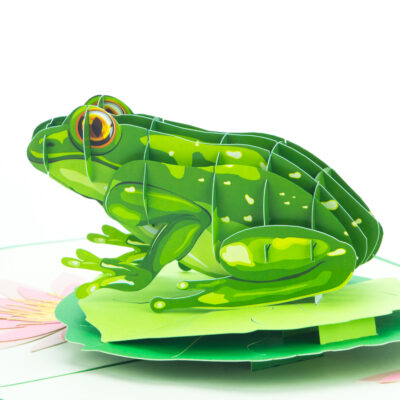 green-frog-pop-up-card-05