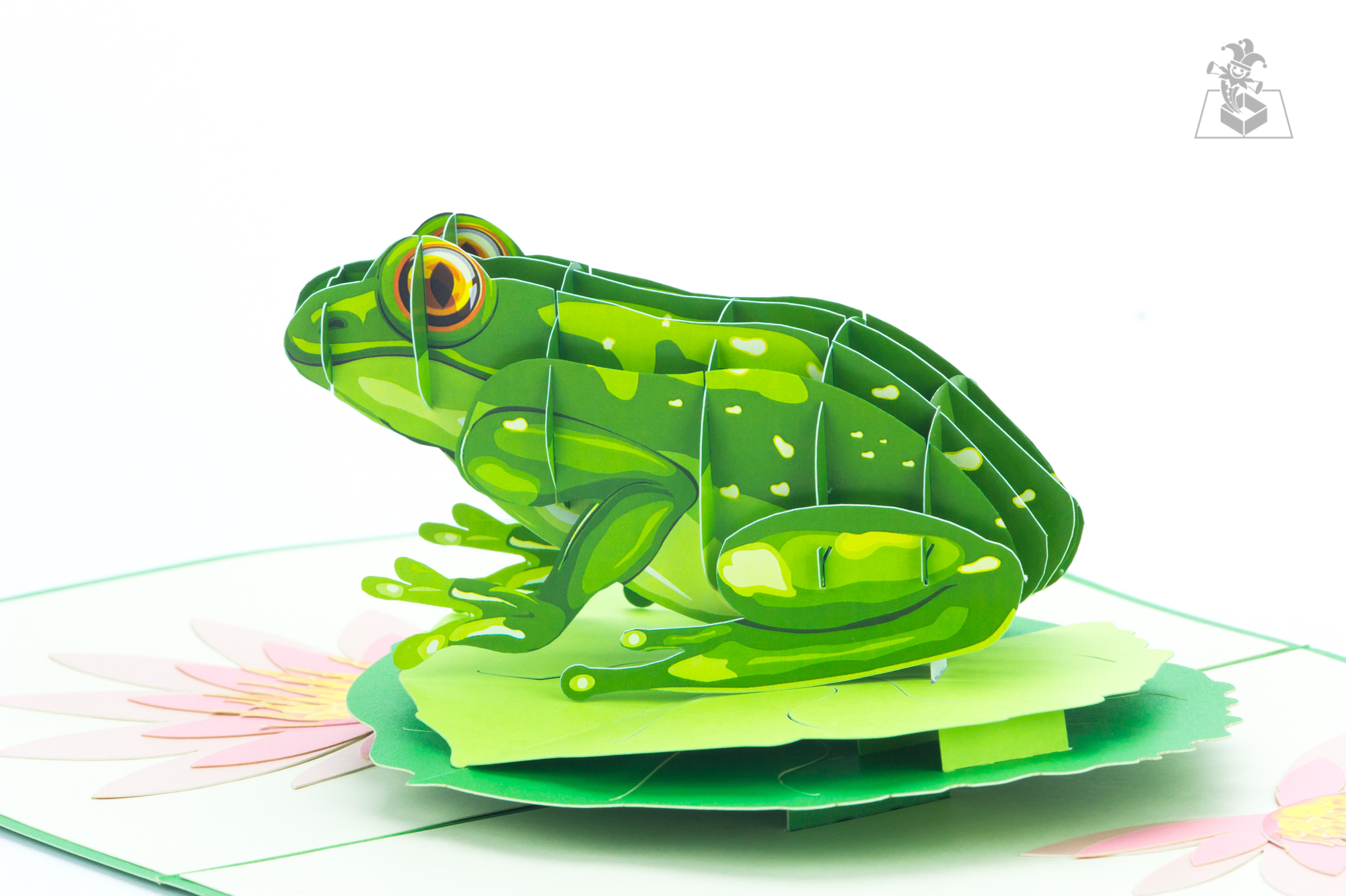 newness krans Anden klasse Green Frog Pop Up Card - Kiricard