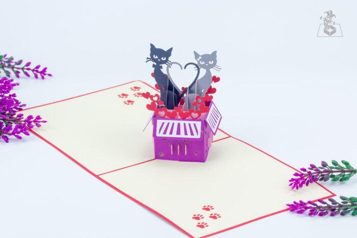 love-cats-in-a-box-pop-up-card-05