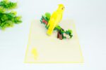 cockatiel-pop-up-card-04