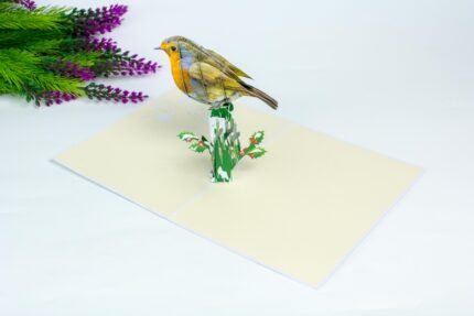 robin-pop-up-card-06