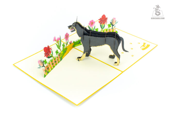 australian-kelpie-dog-pop-up-card-black-04