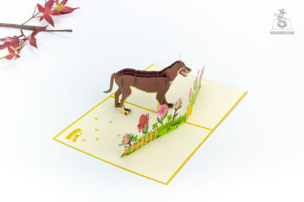 brown-kelpie-dog-pop-up-card-04