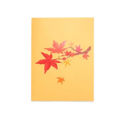 maple-tree-street-pop-up-card-05