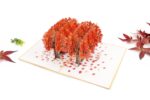 maple-tree-street-pop-up-card-06