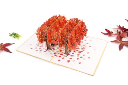 maple-tree-street-pop-up-card-06