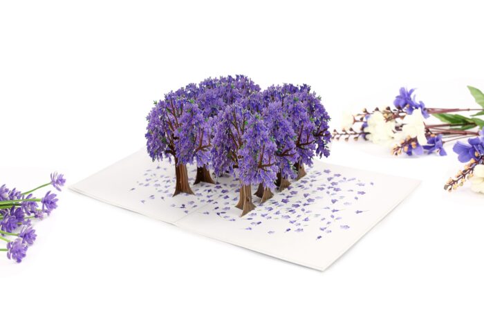 jacaranda-street-pop-up-card-05