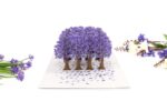 jacaranda-street-pop-up-card-01