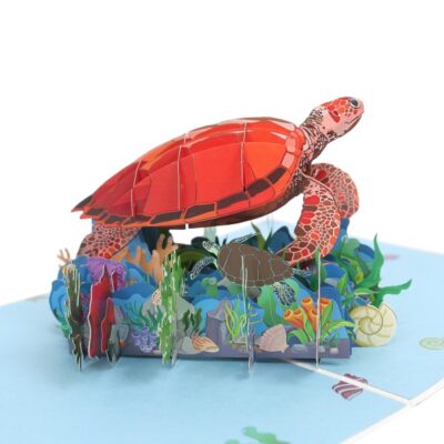 sea-turtle-pop-up-card-06