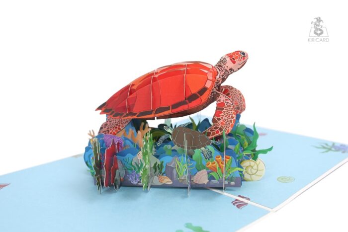 sea-turtle-pop-up-card-06