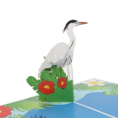 egret-in-florida-pop-up-card-06