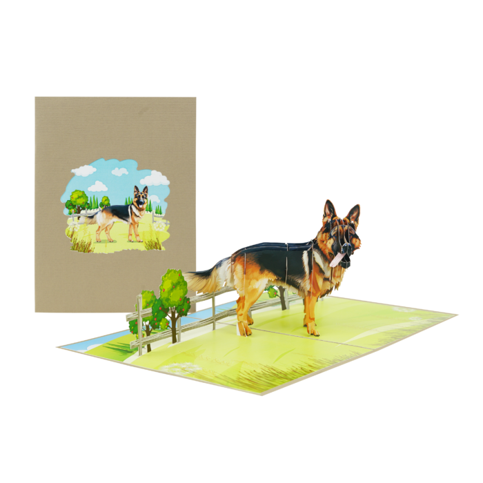 german-shepherd-pop-up-card-08