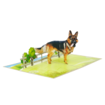 german-shepherd-pop-up-card-02