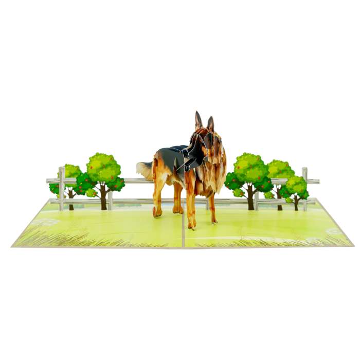 german-shepherd-pop-up-card-07