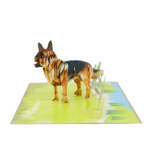 german-shepherd-pop-up-card-05