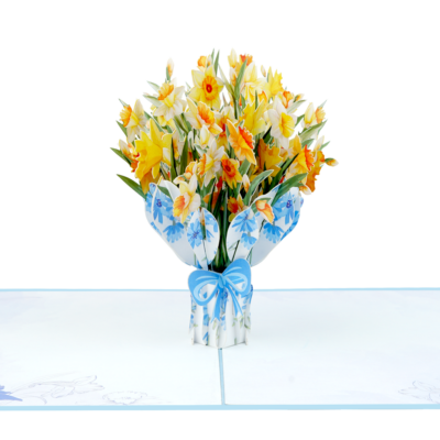 daffodil-bouquet-(blue)-pop-up-card-01