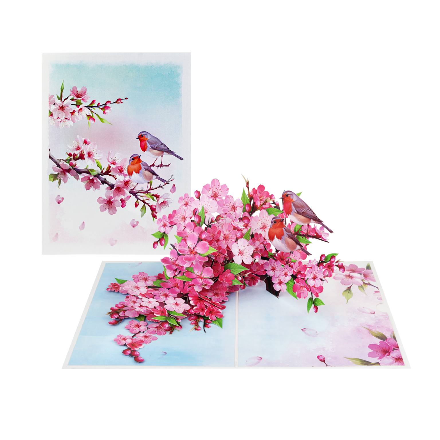 XXL Pop Up Card Cherry Blossom - 3D Birthday Card For Wife (colleague