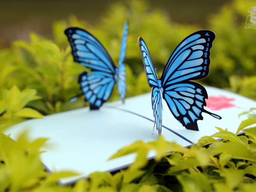 couple-butterflies-pop-up-card-blue-01