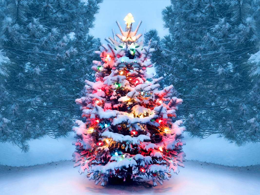 chrismas-origin-christmas-tree