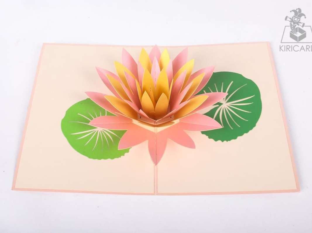 water-lily-bloom-pop-up-card