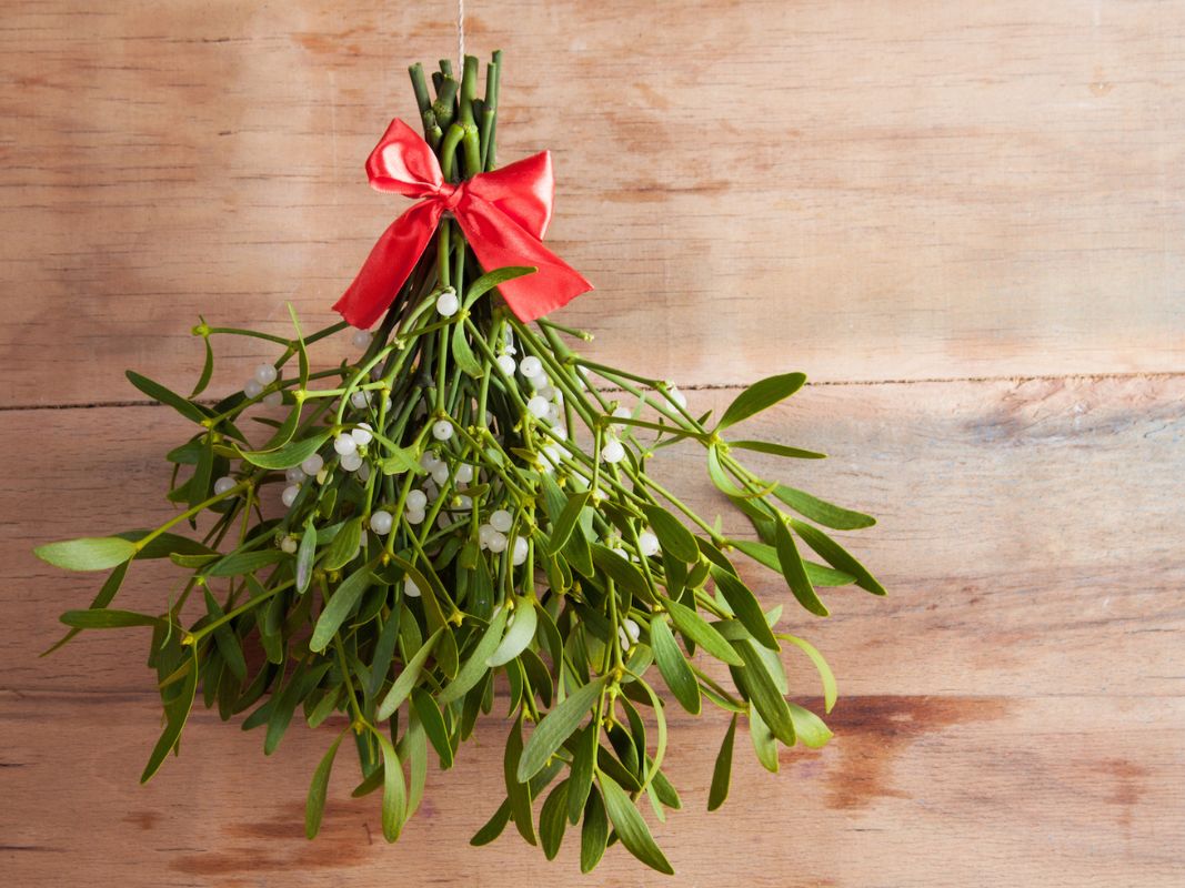 christmas-symbols-mistletoe