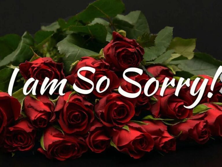 how to reply to i m sorry