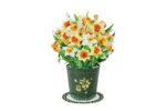 Small daffodil bouquet pop-up card with yellow and white flowers in green vase