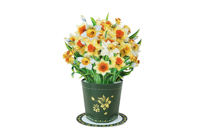 Small daffodil bouquet pop-up card with yellow and white flowers in green vase