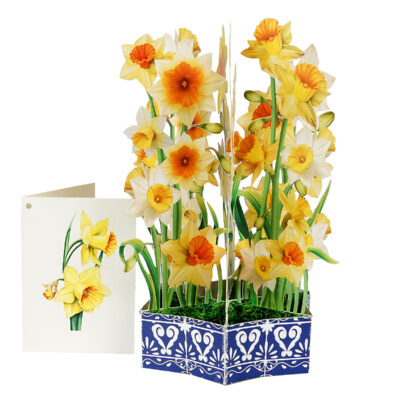 Daffodil flower basket pop-up card with tall 3D bouquet in blue paper basket