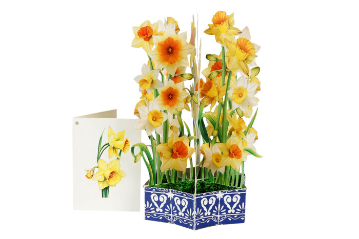 Daffodil flower basket pop-up card with tall 3D bouquet in blue paper basket