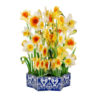 3D pop-up card with daffodils arranged in a paper flower basket