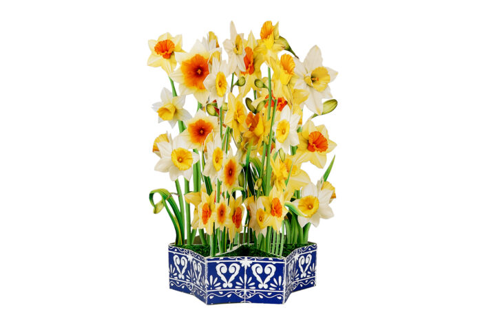 3D pop-up card with daffodils arranged in a paper flower basket