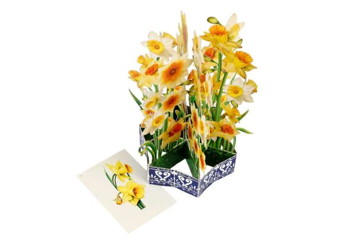 Daffodil pop-up bouquet card with extra notecard and floral artwork