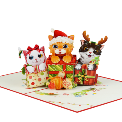 cats-in-gift-box-pop-up-card